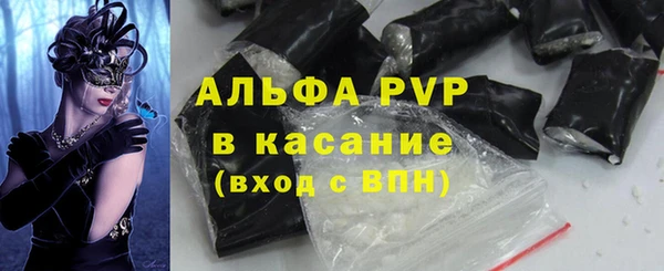 ГАЛЛЮЦИНОГЕННЫЕ ГРИБЫ Бородино