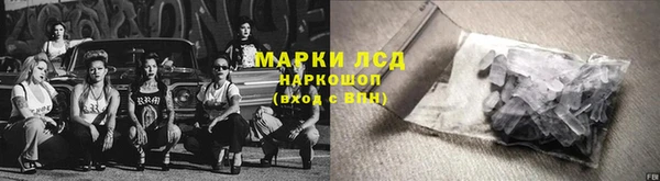 ГАЛЛЮЦИНОГЕННЫЕ ГРИБЫ Бородино