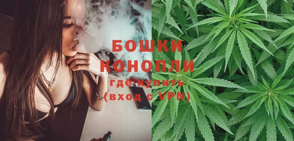 ГАЛЛЮЦИНОГЕННЫЕ ГРИБЫ Бородино
