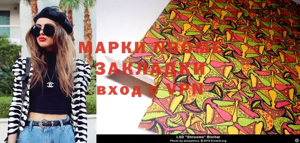 ГАЛЛЮЦИНОГЕННЫЕ ГРИБЫ Бородино