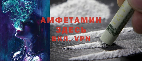 ГАЛЛЮЦИНОГЕННЫЕ ГРИБЫ Бородино